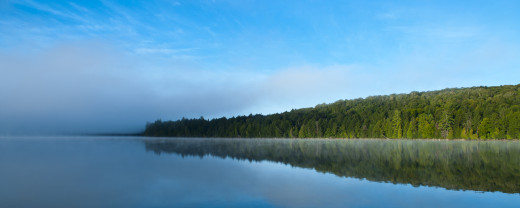 446471 (a): :2560x1024